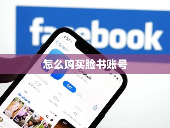 怎么购买脸书账号