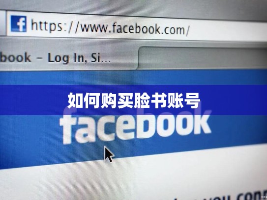 如何购买脸书账号