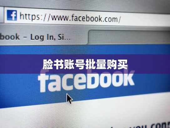 脸书账号批量购买