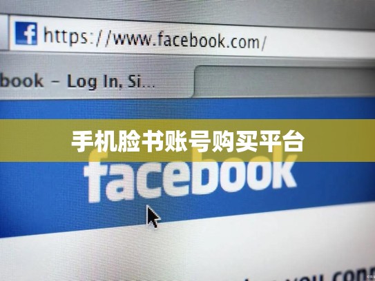 手机脸书账号购买平台