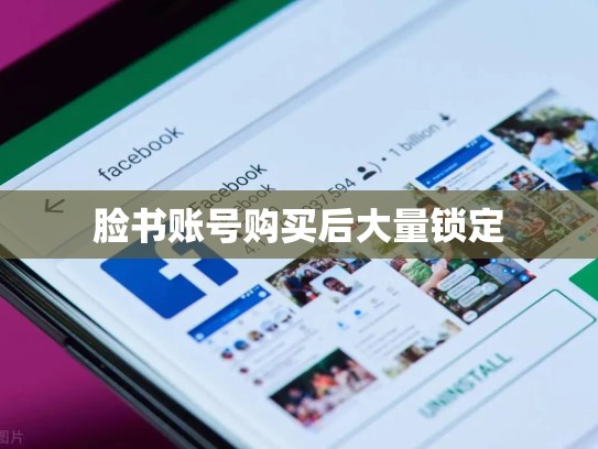 脸书账号购买后大量锁定