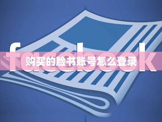 购买的脸书账号怎么登录