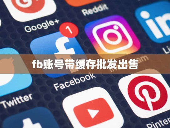 fb账号带缓存批发出售