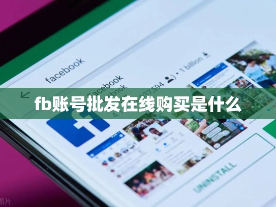 fb账号批发在线购买是什么