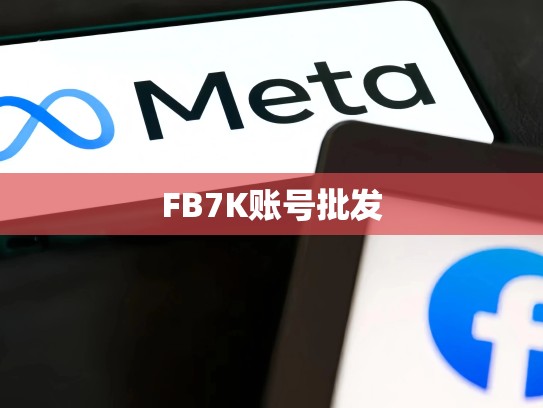 FB7K账号批发