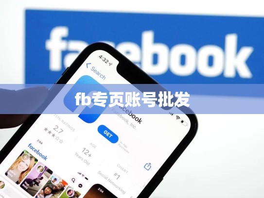 fb专页账号批发