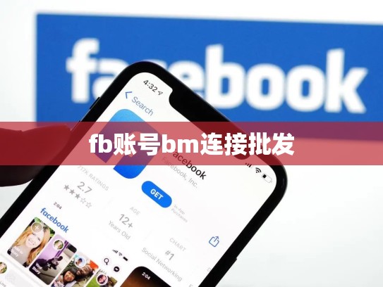 fb账号bm连接批发