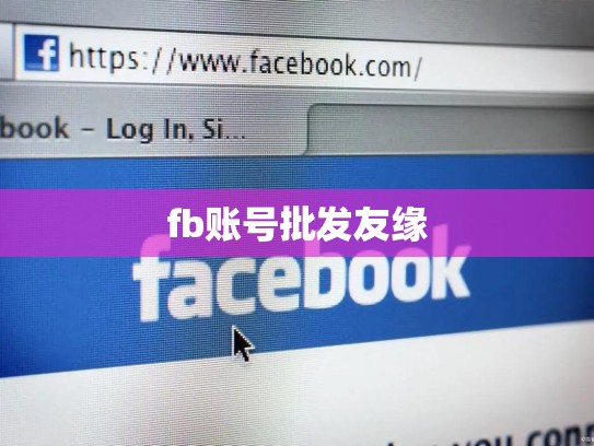 fb账号批发友缘