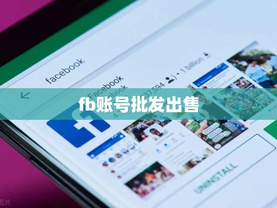 fb账号批发出售
