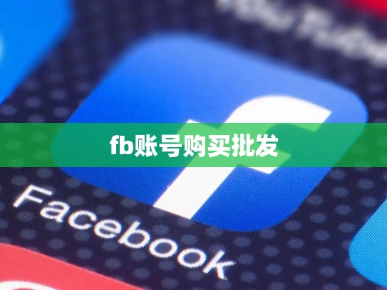 fb账号购买批发