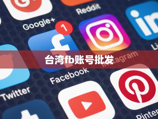 台湾fb账号批发