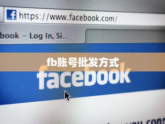 fb账号批发方式