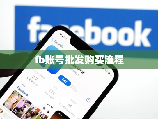 fb账号批发购买流程