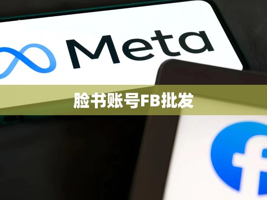 脸书账号FB批发