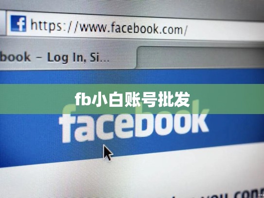 fb小白账号批发