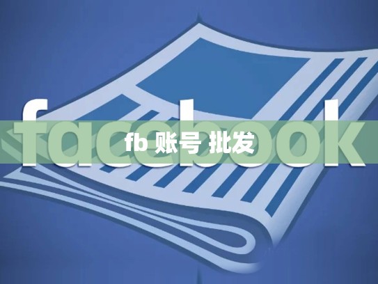fb 账号 批发