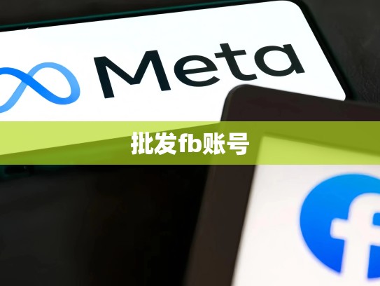 批发fb账号