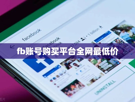 fb账号购买平台全网最低价