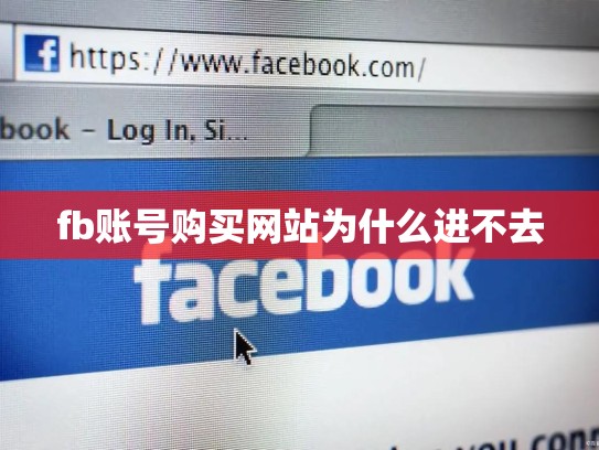 fb账号购买网站为什么进不去