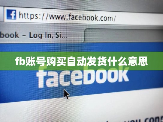 fb账号购买自动发货什么意思