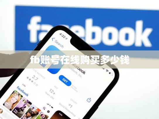 fb账号在线购买多少钱