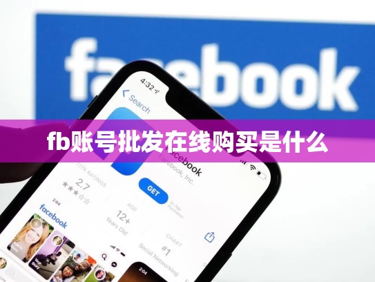 fb账号批发在线购买是什么