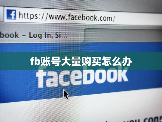 fb账号大量购买怎么办