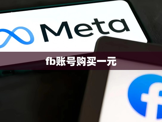 fb账号购买一元