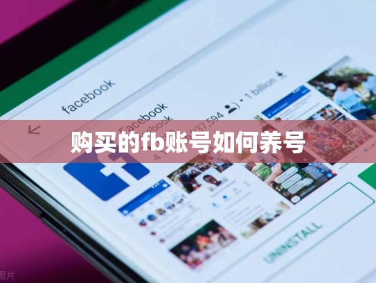 购买的fb账号如何养号