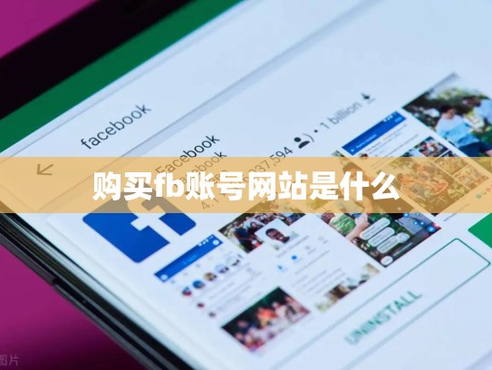 购买fb账号网站是什么