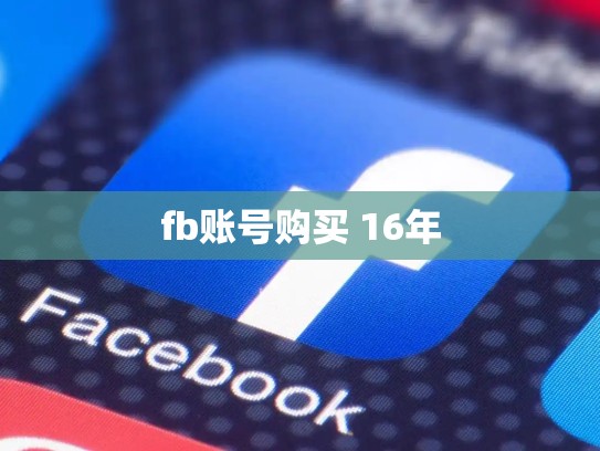 fb账号购买 16年