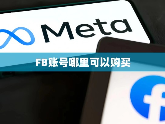 FB账号哪里可以购买