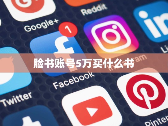 脸书账号5万买什么书