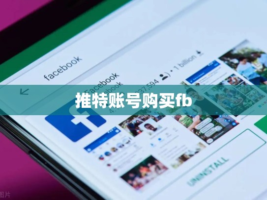 推特账号购买fb