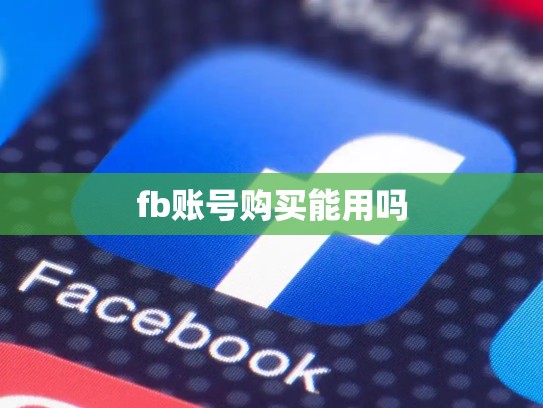 fb账号购买能用吗