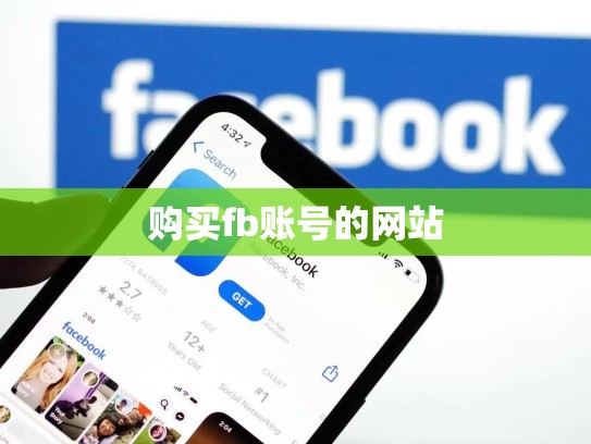 购买fb账号的网站
