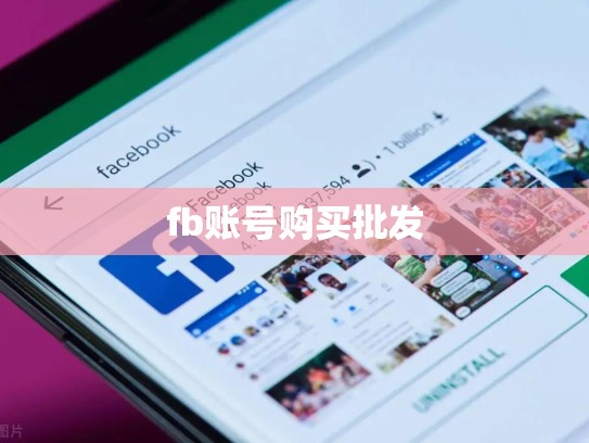 fb账号购买批发