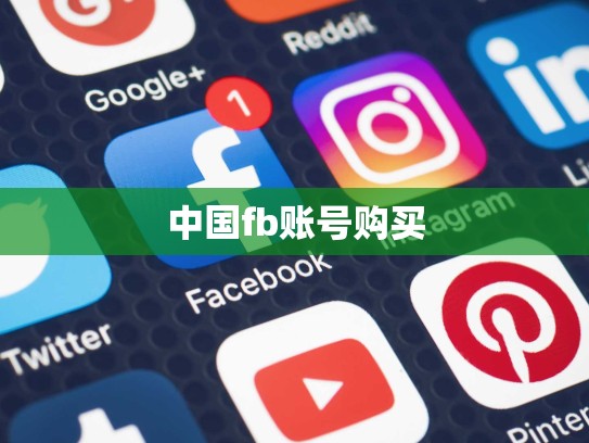 中国fb账号购买