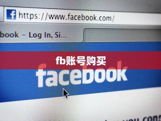 fb账号购买