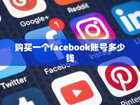 购买一个facebook账号多少钱