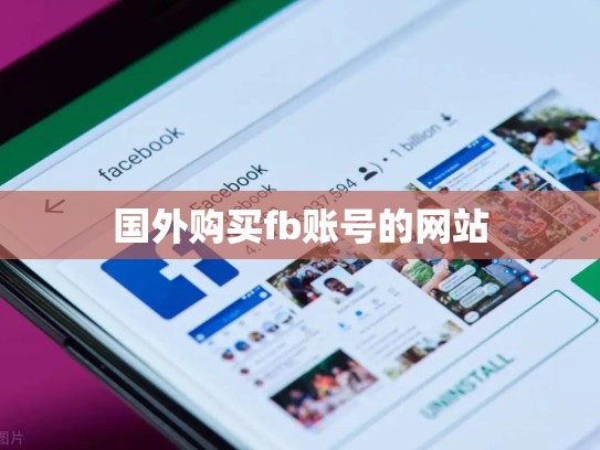 国外购买fb账号的网站
