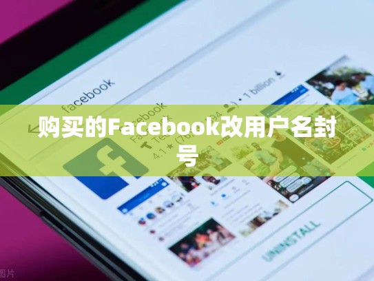 购买的Facebook改用户名封号