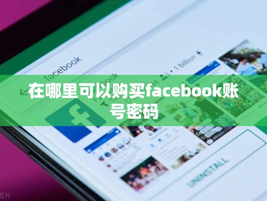 在哪里可以购买facebook账号密码