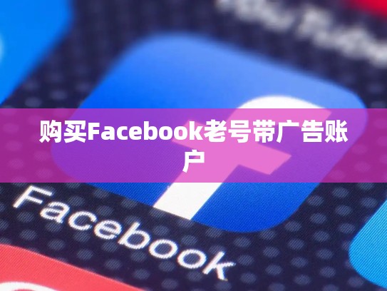 购买Facebook老号带广告账户