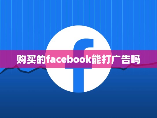 购买的facebook能打广告吗