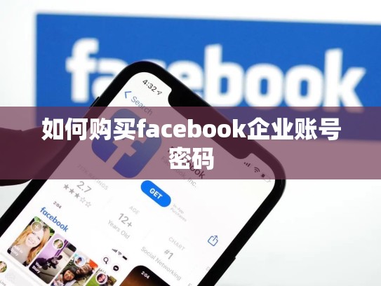 如何购买facebook企业账号密码
