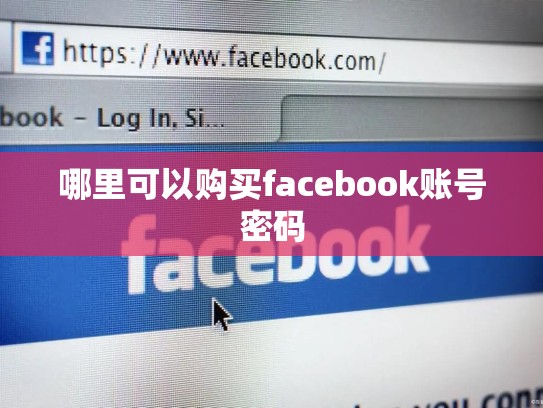 哪里可以购买facebook账号密码