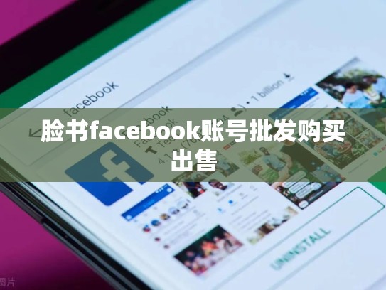脸书facebook账号批发购买出售