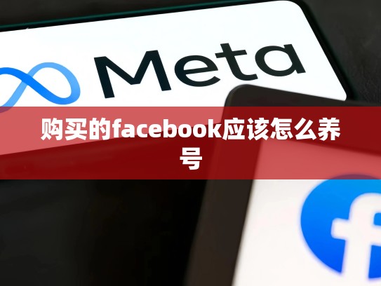 购买的facebook应该怎么养号