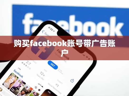 购买facebook账号带广告账户